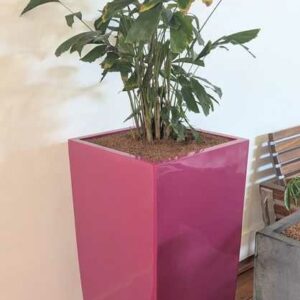 Pot de marque Lechuza modèle Cubico couleur rose fuchsia. 75 x 39 x 39 cm. Localisation : Canada rdc haut (hall)