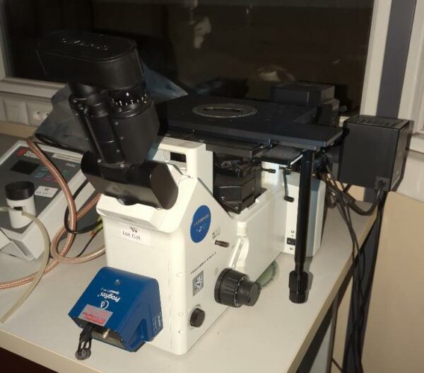 Microscope de marque Olympus modèle GX51