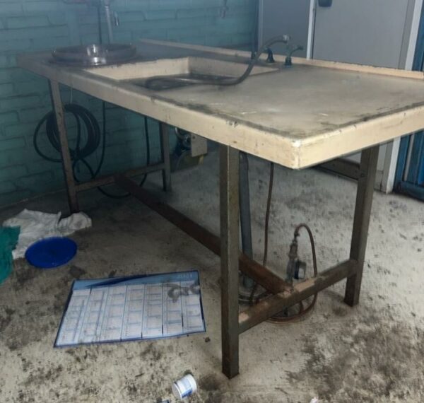 Table métallique sur plateau PVC avec cuve. 82 x 200 x 75 cm (mezza)