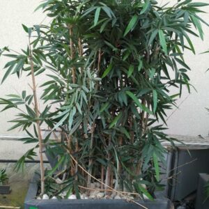 Jardinière en plastique gris avec bambous artificiels. 50 x 94 x 48 cm. 4 unités. Vendu à l'unité avec faculté de réunion. Localisation : 32 rue de Monceau - 75008 Paris