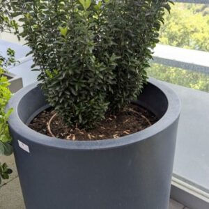Jardinière ronde de marque VONDOM en polyéthylène bleu marine. 60 x 60 cm. Vendu avec sa plante naturelle. 3 unités. Vendu à l'unité avec faculté de réunion. Localisation : 7ème terrasse. (Attention très lourd)