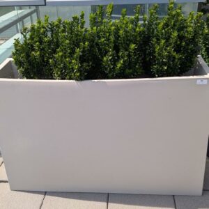 Jardinière rectangulaire de marque VONDOM en polyéthylène gris clair. 80 x 120 x 30 cm. Vendu avec sa plante naturelle. 2 unités. Vendu à l'unité avec faculté de réunion. Localisation : 7ème terrasse. (Attention très lourd)