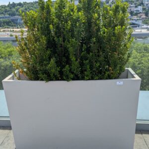 Jardinière rectangulaire de marque VONDOM en polyéthylène gris clair. 80 x 120 x 30 cm. Vendu avec sa plante naturelle. 4 unités. Vendu à l'unité avec faculté de réunion. Localisation : 7ème terrasse. (Attention très lourd)