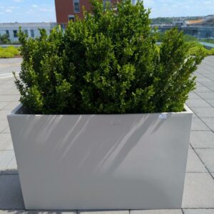 Jardinière rectangulaire de marque VONDOM en polyéthylène gris clair. 80 x 120 x 30 cm. Vendu avec sa plante naturelle. 4 unités. Vendu à l'unité avec faculté de réunion. Localisation : 7ème terrasse. (Attention très lourd) – Image 2