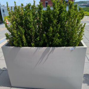 Jardinière rectangulaire de marque VONDOM en polyéthylène gris clair. 80 x 120 x 30 cm. Vendu avec sa plante naturelle. 4 unités. Vendu à l'unité avec faculté de réunion. Localisation : 7ème terrasse. (Attention très lourd) – Image 3