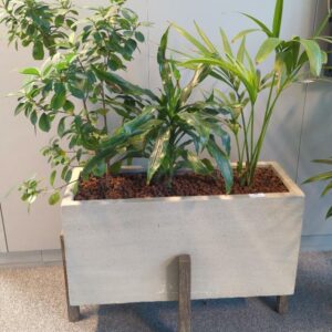Jardinière rectangulaire en pierre composite beige et support en bois comprenant 3 plantes naturelles. Dimension pot : 60 x 80 x 30 cm. Hauteur avec plantes : 130 cm. Localisation : 7 est