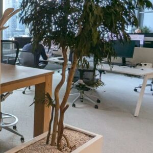 Plante artificielle de divers modèles dans leur bac en plastique blanc rectangulaire ou rond. Dimensions comprises entre 120 cm et 170 cm de hauteur. 
Toutes les plantes seront descendues par les déménageurs.
Pas de manutention dans les étages.