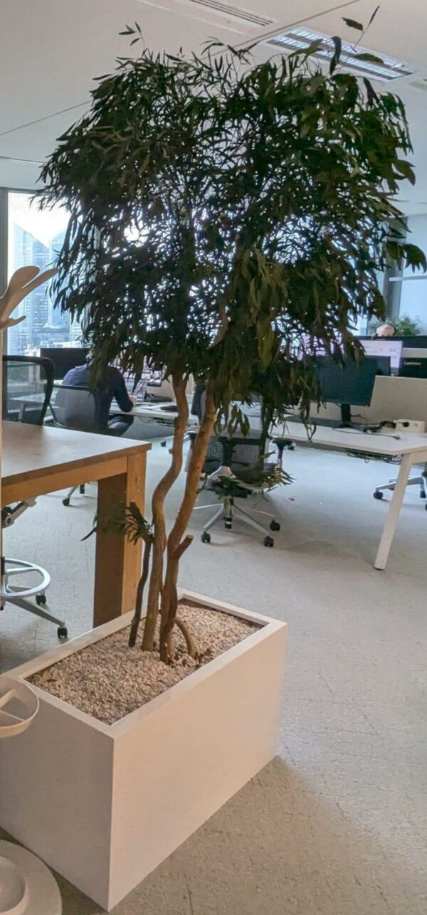 Plante artificielle de divers modèles dans leur bac en plastique blanc rectangulaire ou rond. Dimensions comprises entre 120 cm et 170 cm de hauteur. 
Toutes les plantes seront descendues par les déménageurs.
Pas de manutention dans les étages.