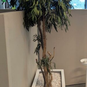 Plante artificielle de divers modèles dans leur bac en plastique blanc rectangulaire ou rond. Dimensions comprises entre 120 cm et 170 cm de hauteur. 
Toutes les plantes seront descendues par les déménageurs.
Pas de manutention dans les étages. – Image 3