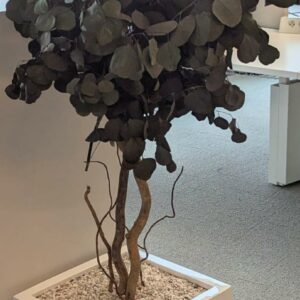 Plante artificielle de divers modèles dans leur bac en plastique blanc rectangulaire ou rond. Dimensions comprises entre 120 cm et 170 cm de hauteur. 
Toutes les plantes seront descendues par les déménageurs.
Pas de manutention dans les étages. – Image 4