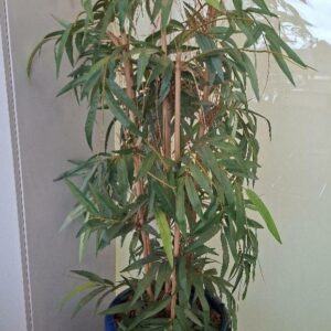 Plante artificielle dans un pot en céramique émaillée bleue, divers modèles. Dim pot: 32 x 40 cm. Hauteur avec plante: environ 140 cm. 8 unités. Localisation: 6ème étage salle 604 (1 unité) / 4ème étage zone rouge (2 unités) + zone vert (5 unités)